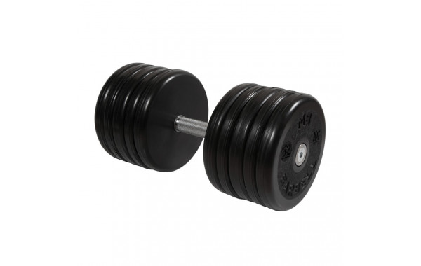 Гантель классик MB Barbell с вращающейся ручкой 52 кг MB-FdbEM-B52 600_380