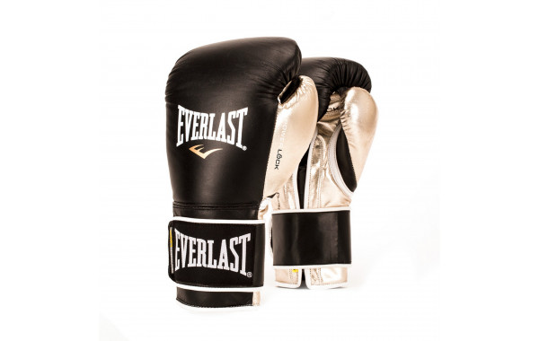 Перчатки тренировочные Everlast Powerlock 14oz P00000613 черный\золотой 600_380