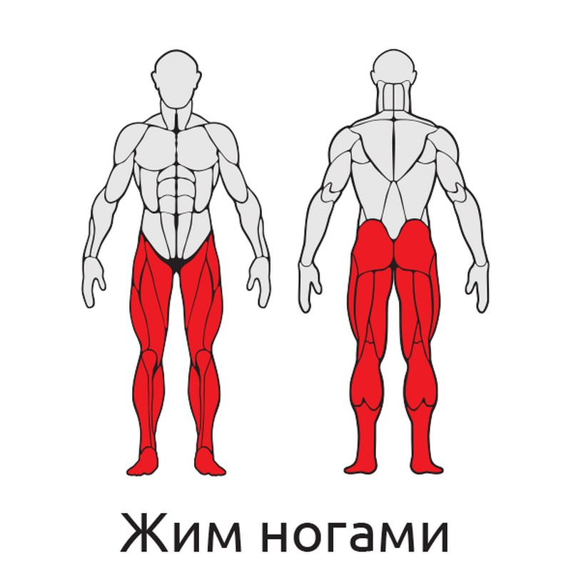 Жим ногами Iron King S412 800_800