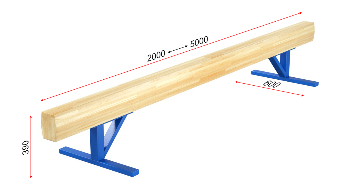 Бревно гимнастическое низкое L=5 м Glav 04.10.01-5 1200_675