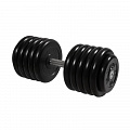 Гантель Профи с вращающейся ручкой, 56 кг MB Barbell MB-FdbM-B56 120_120